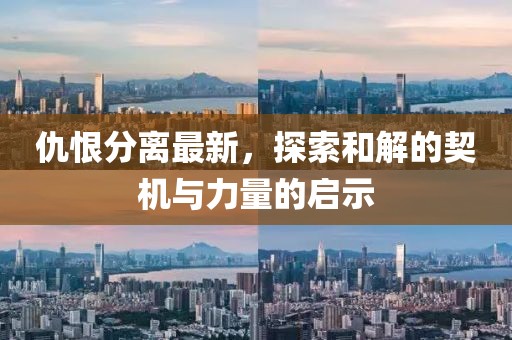 仇恨分離最新，探索和解的契機(jī)與力量的啟示