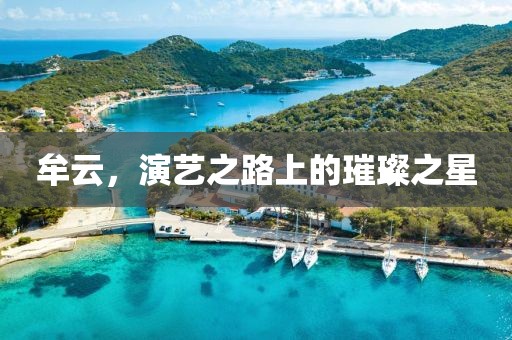 牟云，演藝之路上的璀璨之星