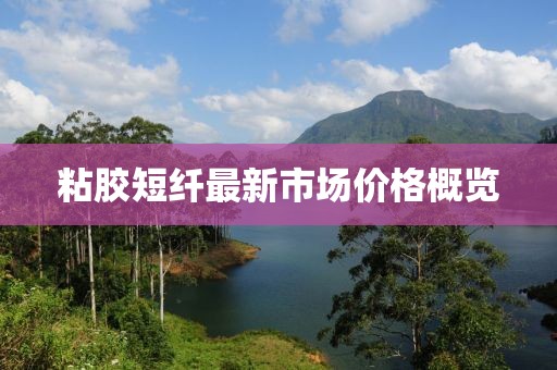 苦幻珊 第3頁(yè)