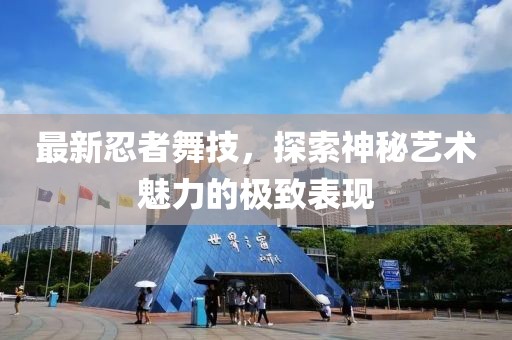 最新忍者舞技，探索神秘藝術(shù)魅力的極致表現(xiàn)