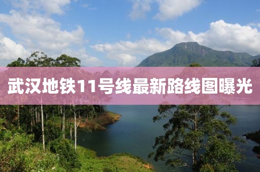 武漢地鐵11號線最新路線圖曝光