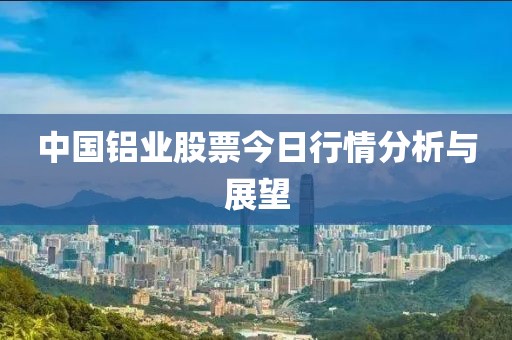 中國(guó)鋁業(yè)股票今日行情分析與展望