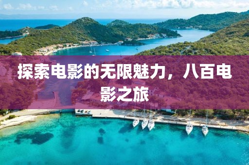 探索電影的無限魅力，八百電影之旅
