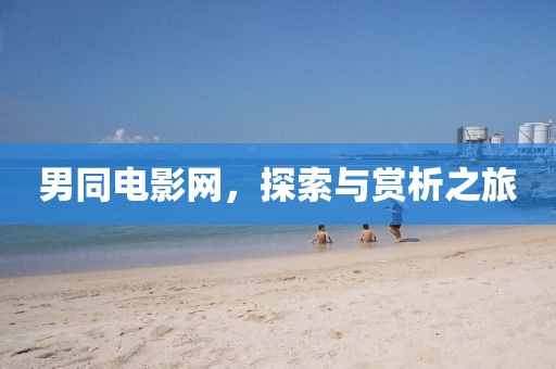 男同電影網(wǎng)，探索與賞析之旅