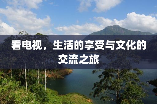 看電視，生活的享受與文化的交流之旅
