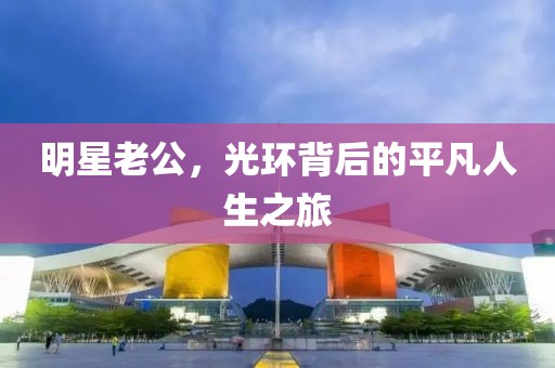 明星老公，光環(huán)背后的平凡人生之旅