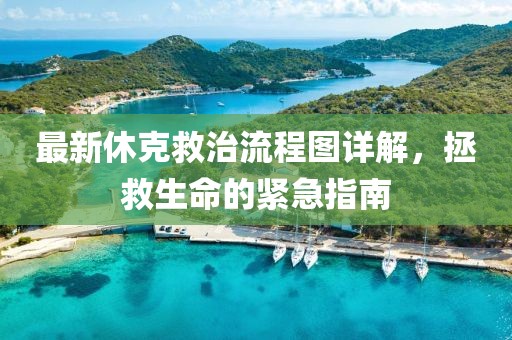 最新休克救治流程圖詳解，拯救生命的緊急指南