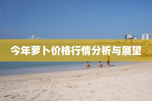 今年蘿卜價格行情分析與展望