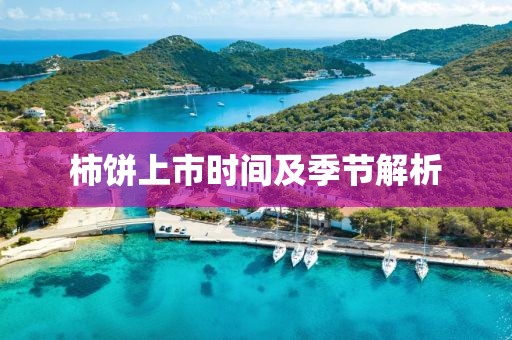 柿餅上市時(shí)間及季節(jié)解析