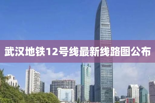 武漢地鐵12號線最新線路圖公布