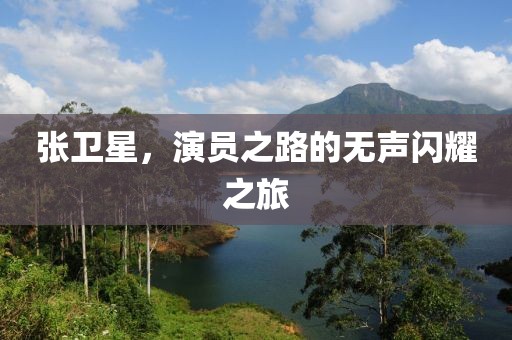 張衛(wèi)星，演員之路的無聲閃耀之旅
