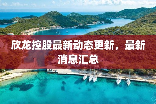 欣龍控股最新動態(tài)更新，最新消息匯總