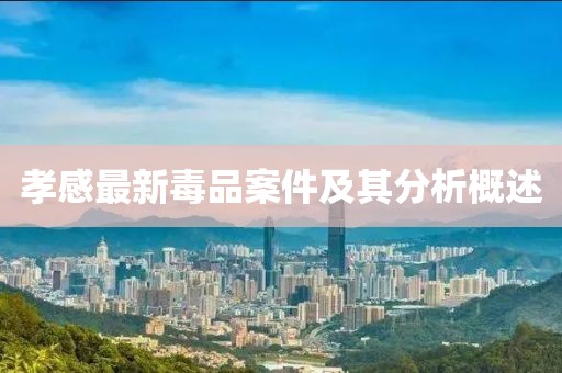 孝感最新毒品案件及其分析概述