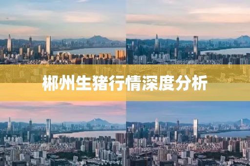 郴州生豬行情深度分析