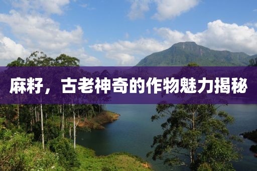 麻籽，古老神奇的作物魅力揭秘