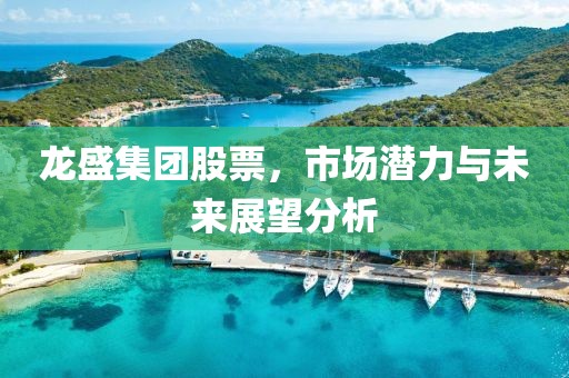 龍盛集團股票，市場潛力與未來展望分析