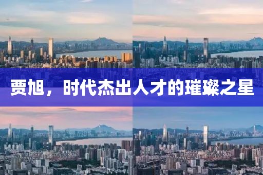 賈旭，時(shí)代杰出人才的璀璨之星