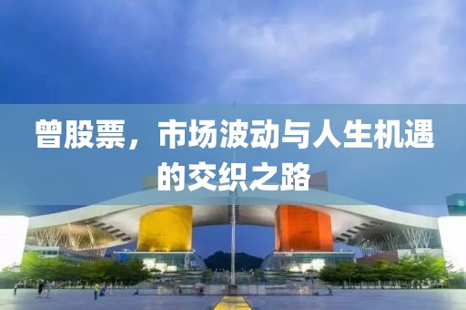 曾股票，市場(chǎng)波動(dòng)與人生機(jī)遇的交織之路
