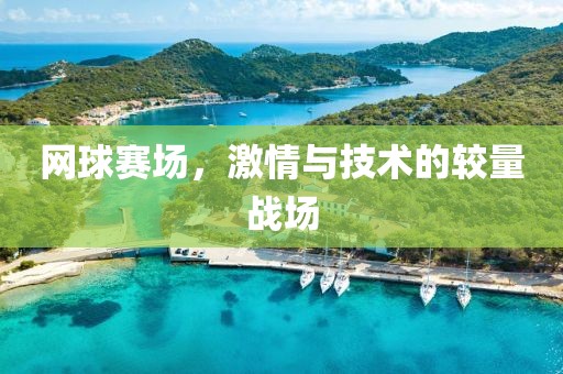 網(wǎng)球賽場(chǎng)，激情與技術(shù)的較量戰(zhàn)場(chǎng)