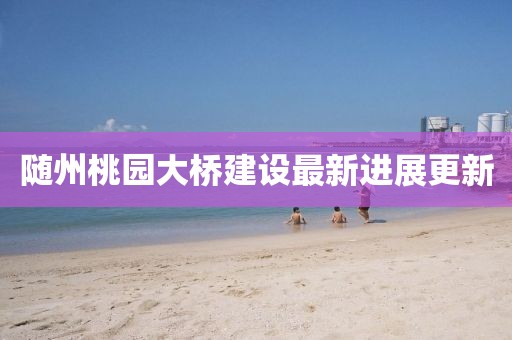 隨州桃園大橋建設(shè)最新進(jìn)展更新