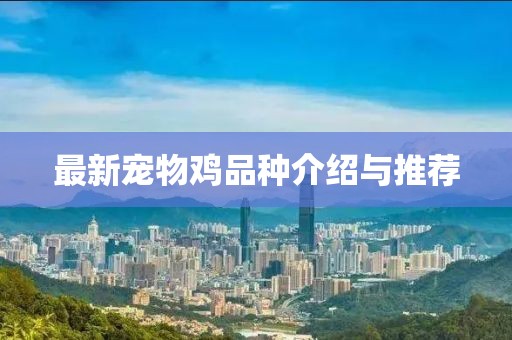 最新寵物雞品種介紹與推薦