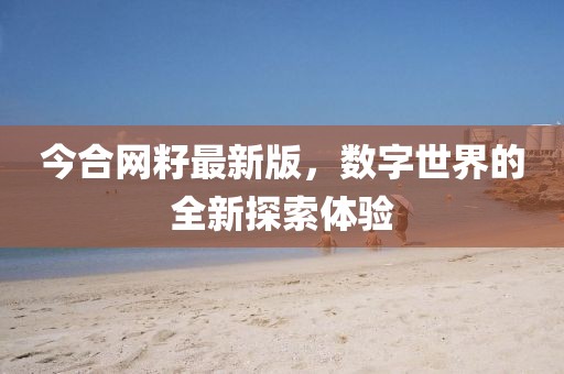 今合網(wǎng)籽最新版，數(shù)字世界的全新探索體驗(yàn)