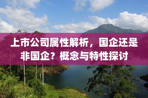 上市公司屬性解析，國(guó)企還是非國(guó)企？概念與特性探討