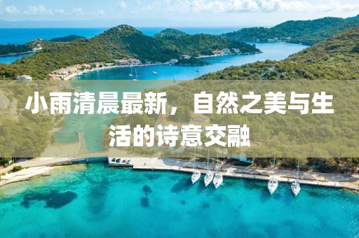 小雨清晨最新，自然之美與生活的詩意交融