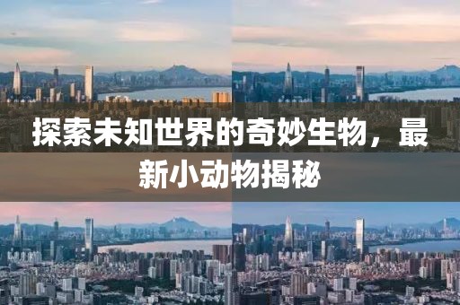 探索未知世界的奇妙生物，最新小動(dòng)物揭秘