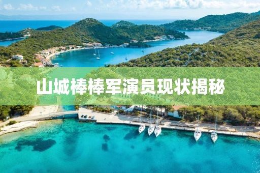 山城棒棒軍演員現(xiàn)狀揭秘