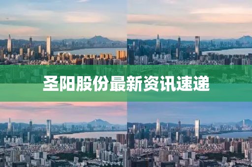 圣陽(yáng)股份最新資訊速遞