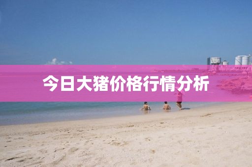 今日大豬價(jià)格行情分析