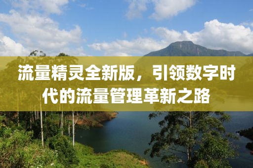 流量精靈全新版，引領(lǐng)數(shù)字時代的流量管理革新之路