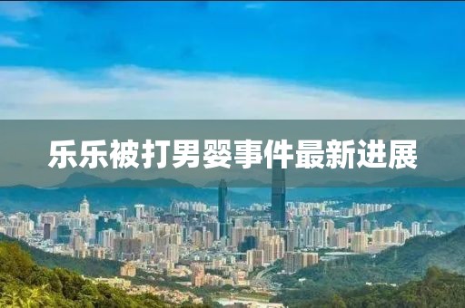 樂樂被打男嬰事件最新進展