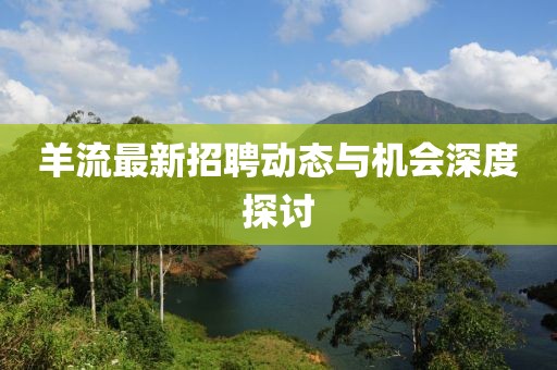 羊流最新招聘動(dòng)態(tài)與機(jī)會(huì)深度探討