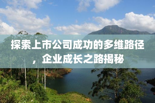 探索上市公司成功的多維路徑，企業(yè)成長之路揭秘