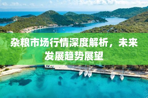 雜糧市場(chǎng)行情深度解析，未來(lái)發(fā)展趨勢(shì)展望