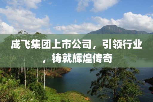 成飛集團上市公司，引領行業(yè)，鑄就輝煌傳奇