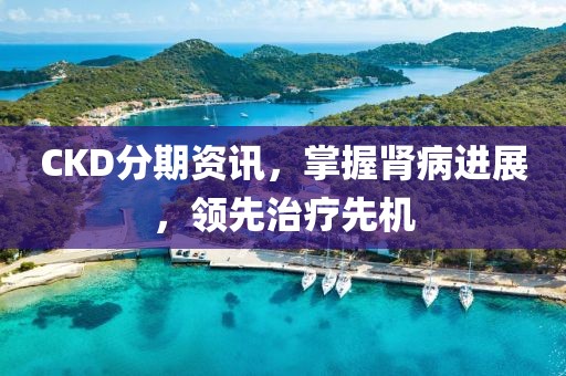 CKD分期資訊，掌握腎病進(jìn)展，領(lǐng)先治療先機(jī)
