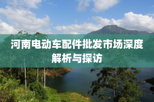 河南電動車配件批發(fā)市場深度解析與探訪