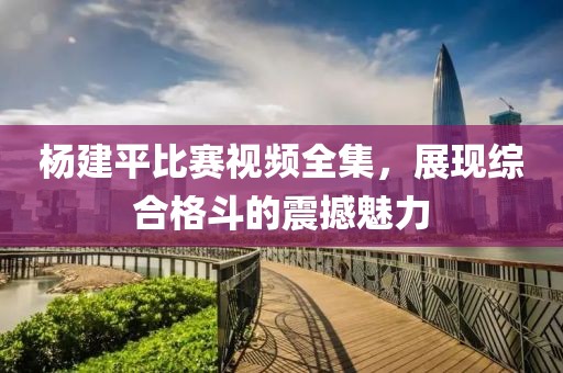 楊建平比賽視頻全集，展現(xiàn)綜合格斗的震撼魅力