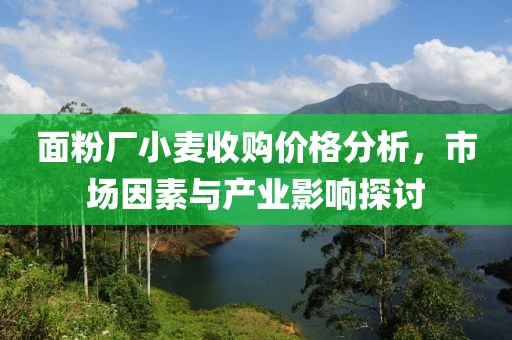 面粉廠小麥?zhǔn)召?gòu)價(jià)格分析，市場(chǎng)因素與產(chǎn)業(yè)影響探討