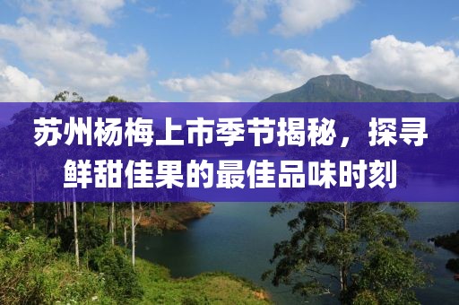 蘇州楊梅上市季節(jié)揭秘，探尋鮮甜佳果的最佳品味時(shí)刻