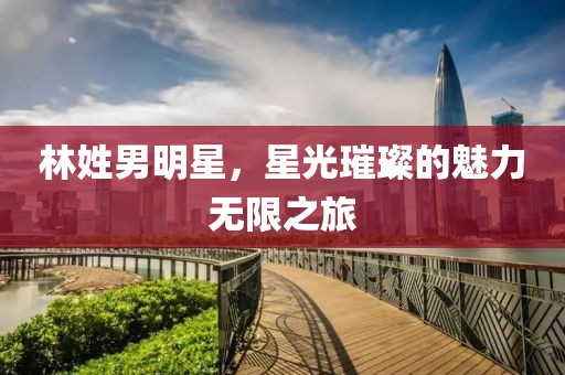 林姓男明星，星光璀璨的魅力無限之旅