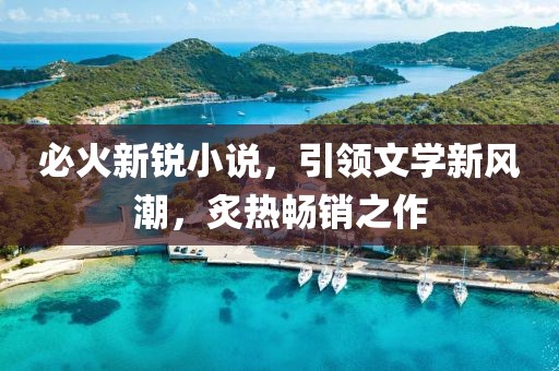 必火新銳小說，引領(lǐng)文學(xué)新風(fēng)潮，炙熱暢銷之作