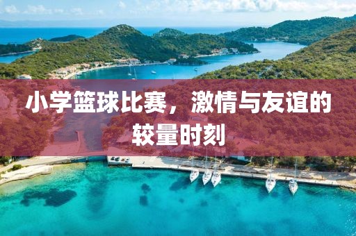 小學(xué)籃球比賽，激情與友誼的較量時刻