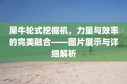 犀牛輪式挖掘機(jī)，力量與效率的完美融合——圖片展示與詳細(xì)解析