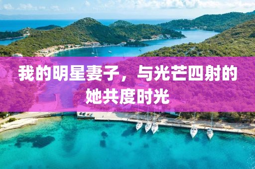我的明星妻子，與光芒四射的她共度時光