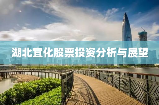 湖北宜化股票投資分析與展望