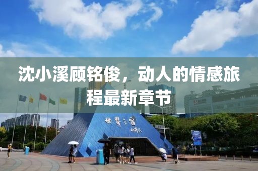 沈小溪顧銘俊，動人的情感旅程最新章節(jié)